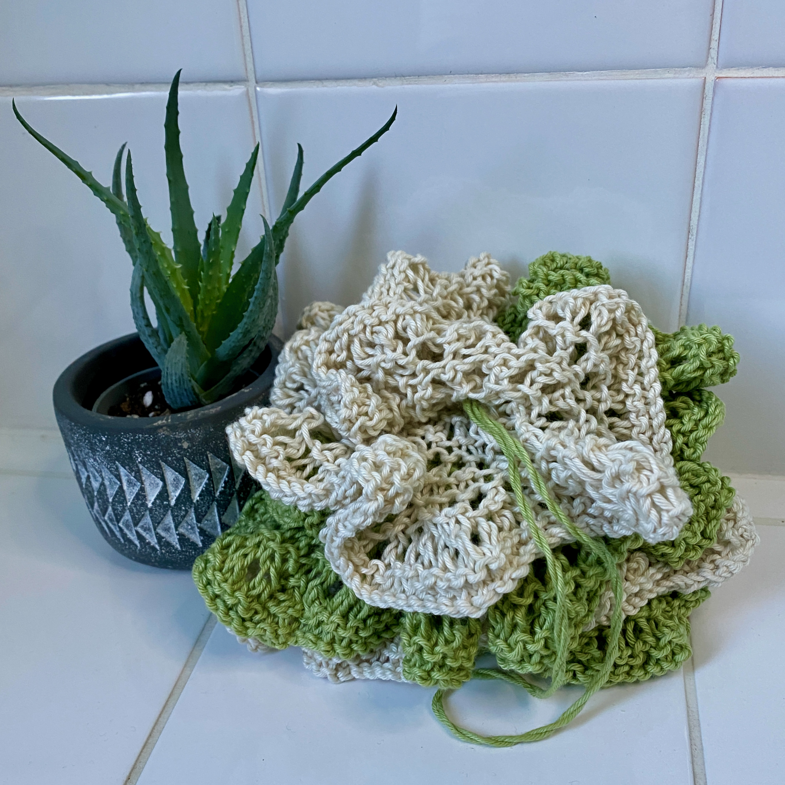 Hand knitted shower Scrubbie next to an Aloe Vera plant